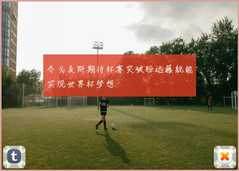 乔戈麦斯期待杯赛突破盼远藤航能实现世界杯梦想